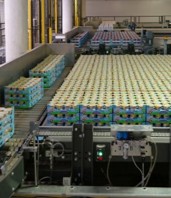 White paper compares benefits of robot and layer palletising along with hybrid systems